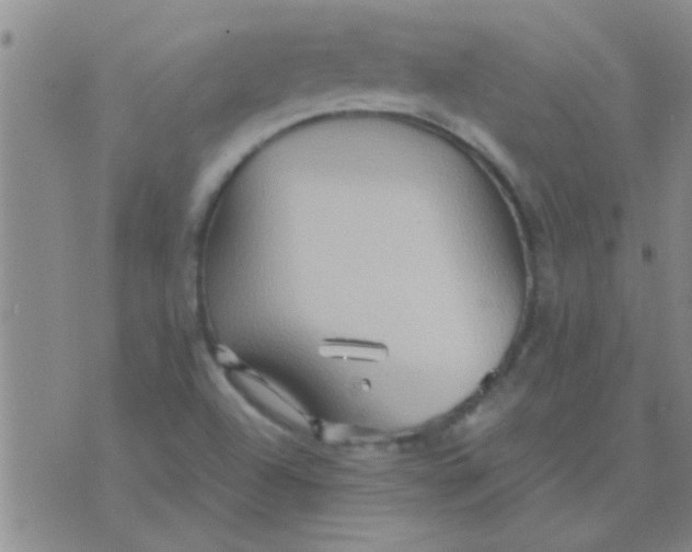 X0000075831504200610061809