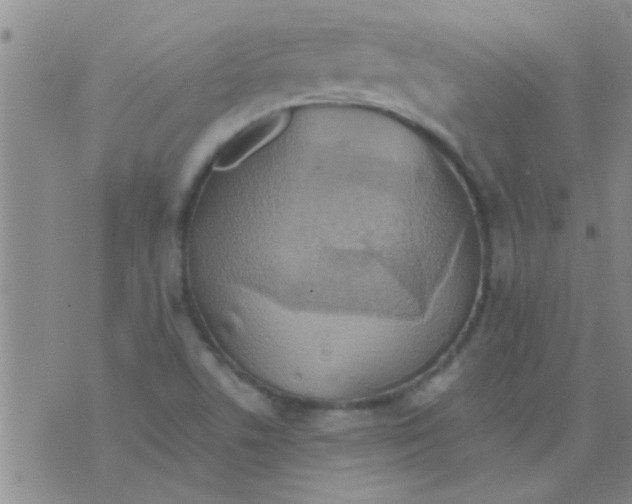 X0000075831506200610061809