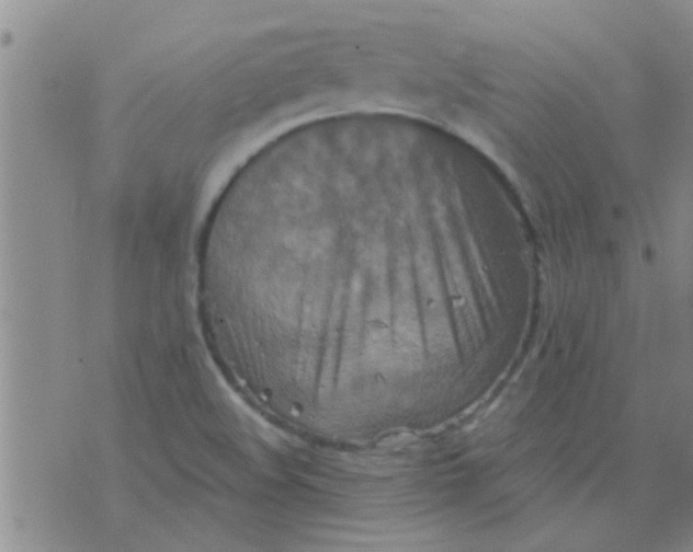 X0000075831508200610061809