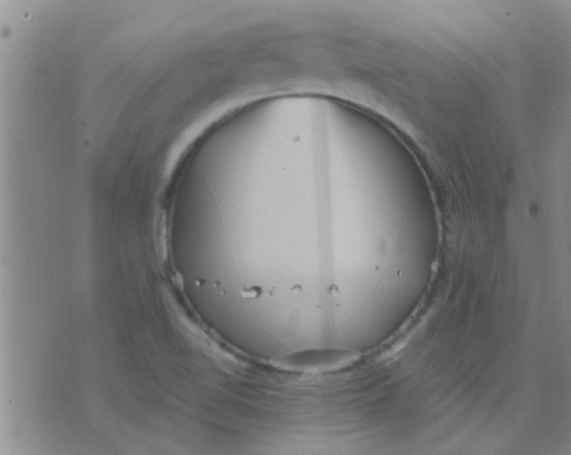 X0000075831510200610061809