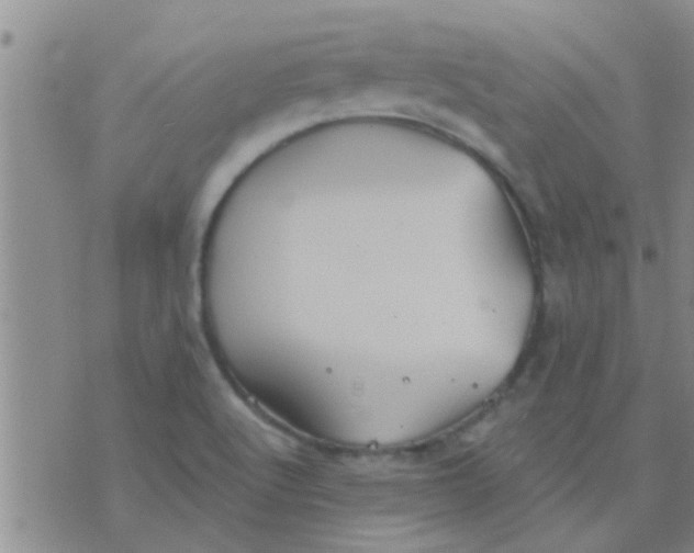 X0000075831512200610061809