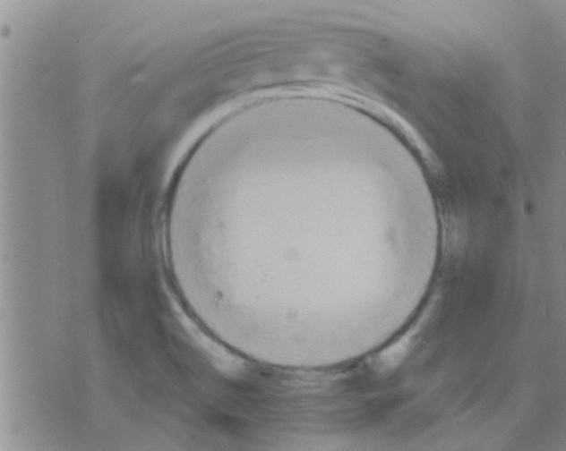 X0000075831514200610061809