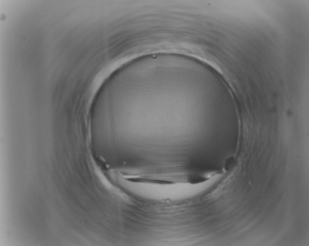 X0000075831515200610061809