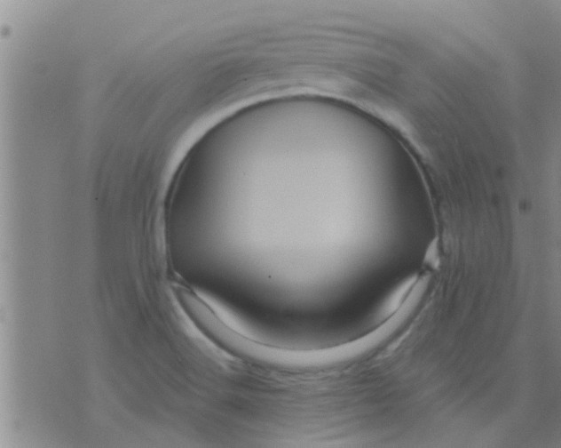 X0000075831516200610061809