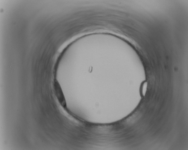 X0000075831518200610061809