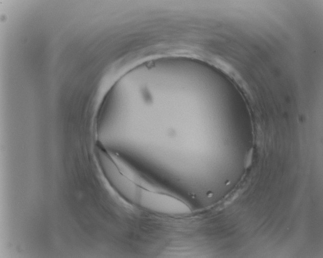 X0000075831520200610061809