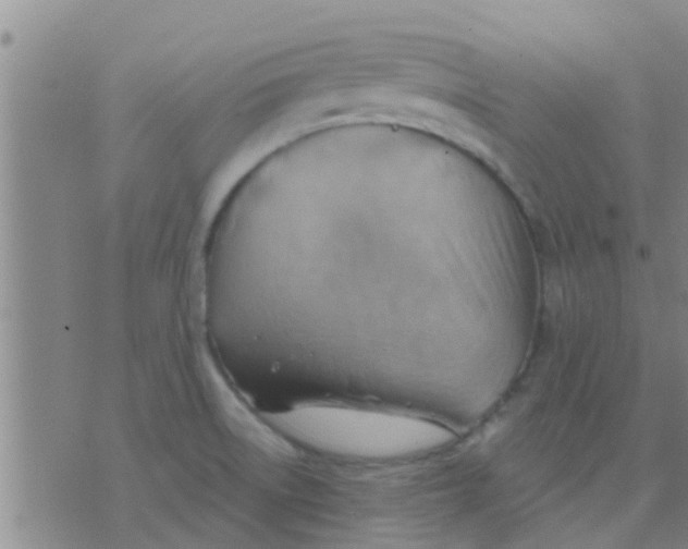 X0000075831522200610061809