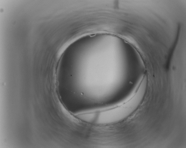 X0000075831524200610061809