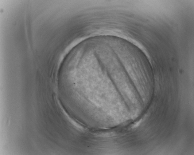 X0000075831525200610061809