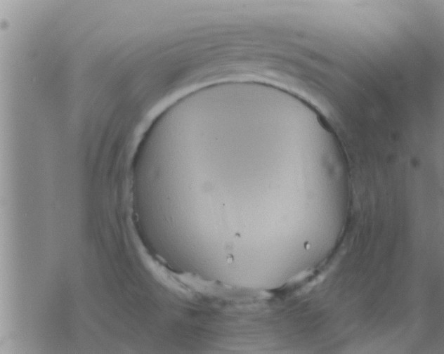 X0000075831526200610061809