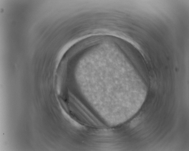 X0000075831527200610061809