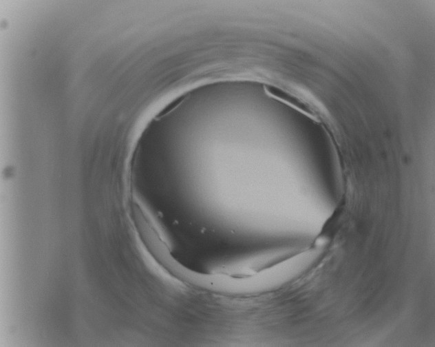 X0000075831528200610061809