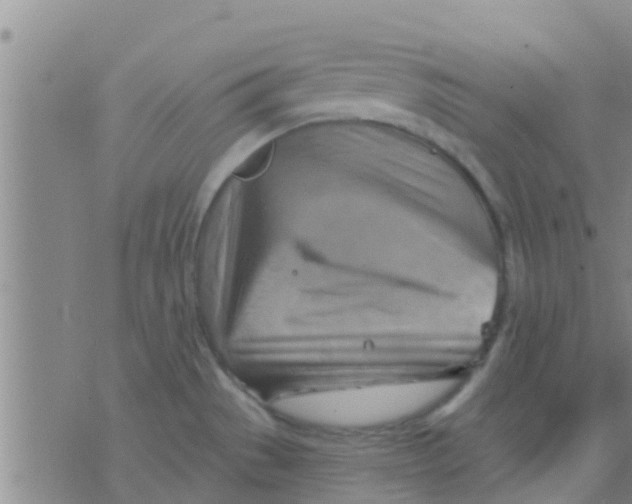 X0000075831529200610061809