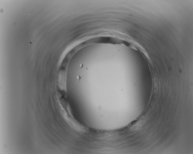 X0000075831530200610061809