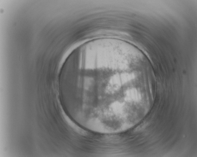 X0000075831531200610061809