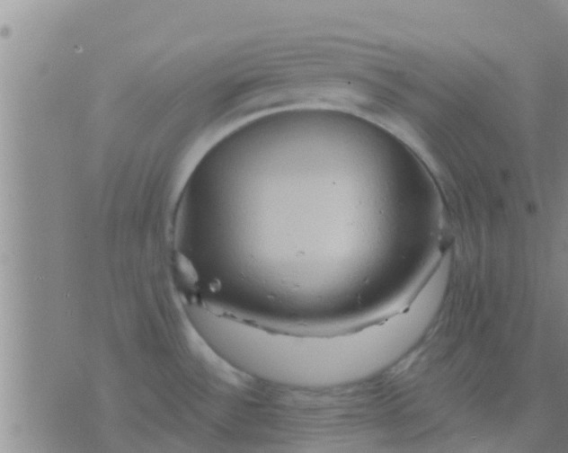 X0000075831532200610061809