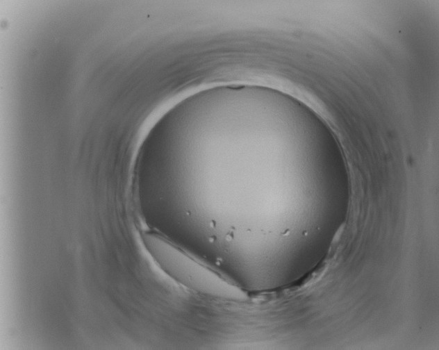 X0000075831536200610061809