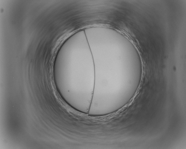 X0000075830001200610151531