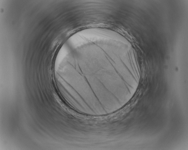 X0000075830002200610151531