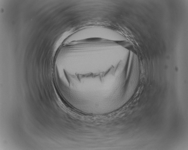 X0000075830003200610151531