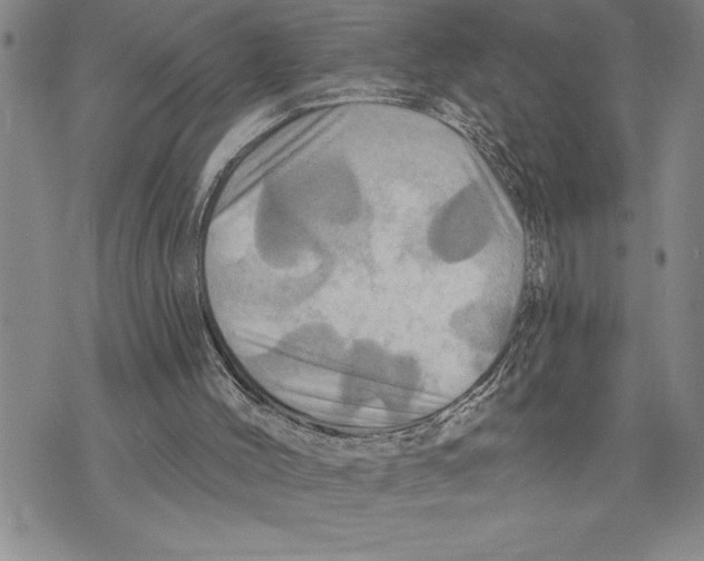 X0000075830004200610151531