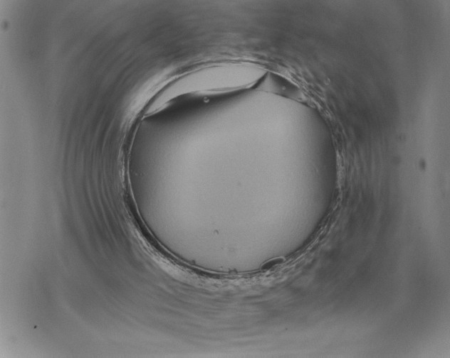 X0000075830005200610151531