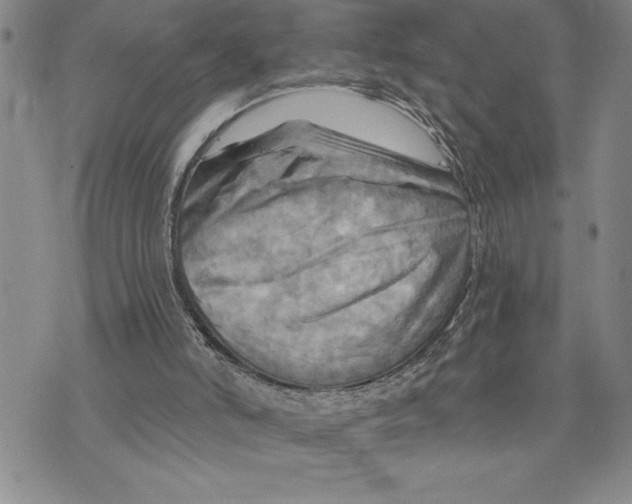 X0000075830006200610151531