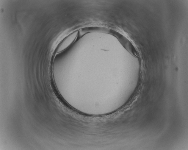 X0000075830007200610151531