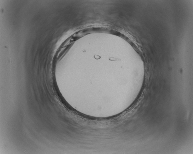 X0000075830008200610151531