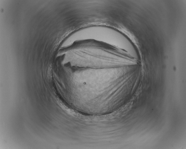 X0000075830009200610151531