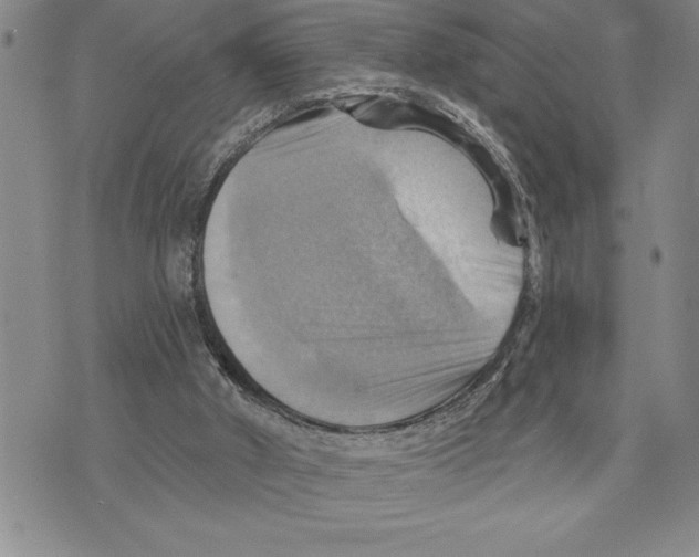 X0000075830010200610151531