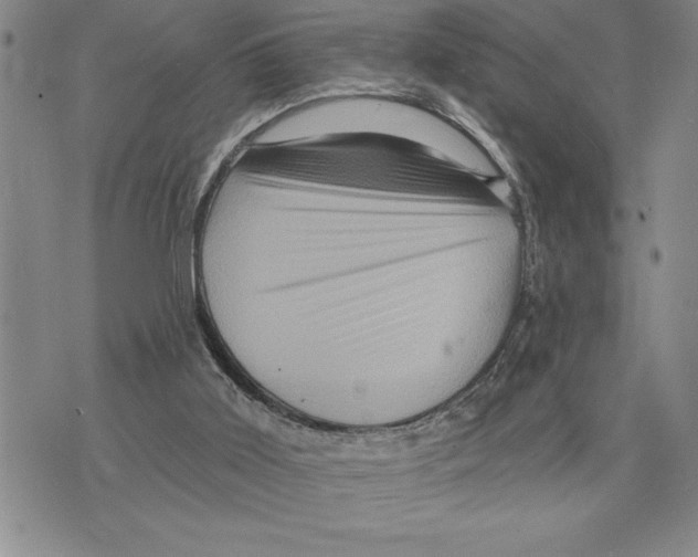 X0000075830011200610151531