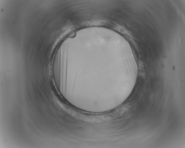 X0000075830012200610151531