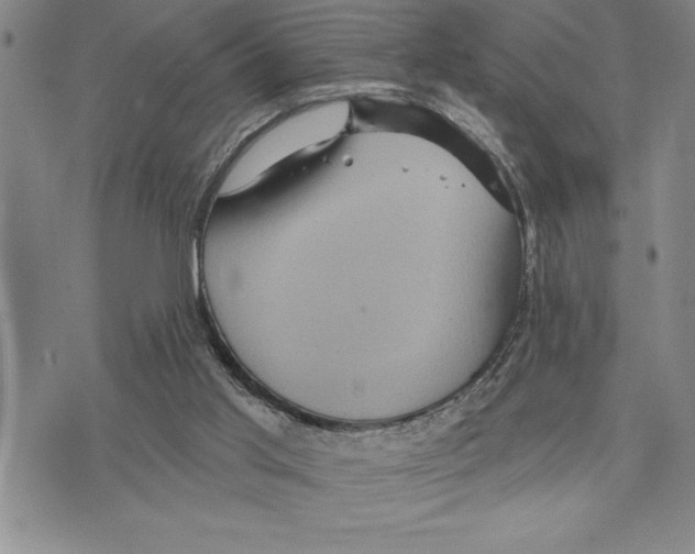 X0000075830013200610151531