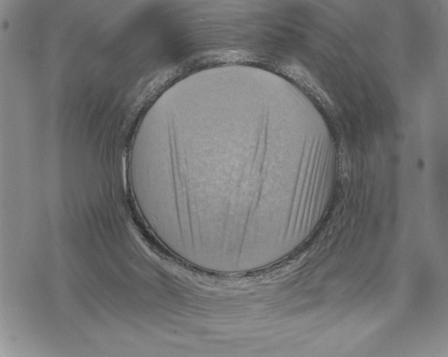 X0000075830014200610151531