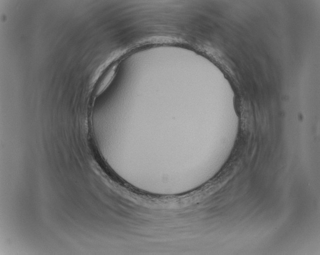 X0000075830015200610151531