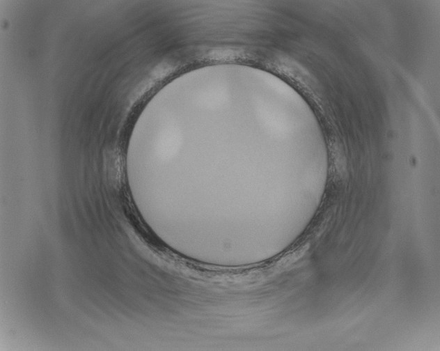 X0000075830016200610151531