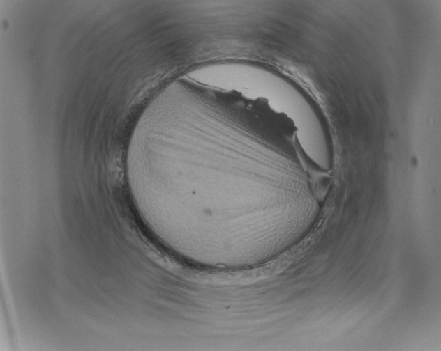 X0000075830017200610151531