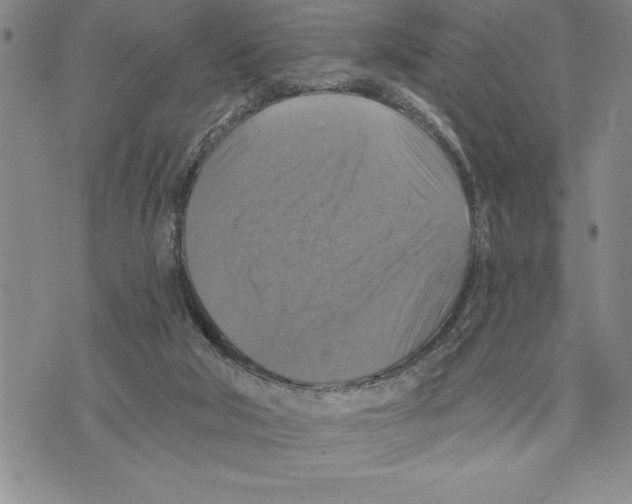 X0000075830018200610151531