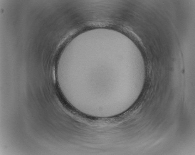 X0000075830020200610151531