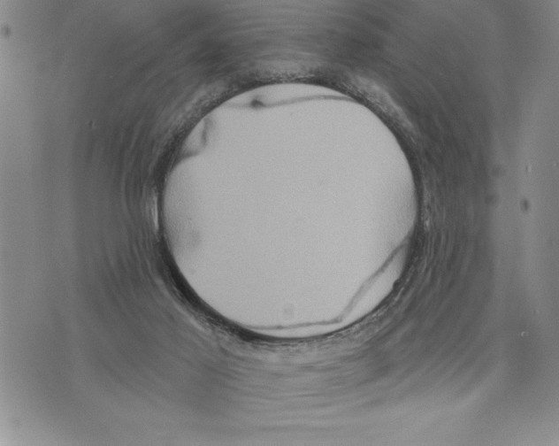 X0000075830021200610151531