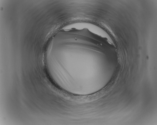 X0000075830023200610151531