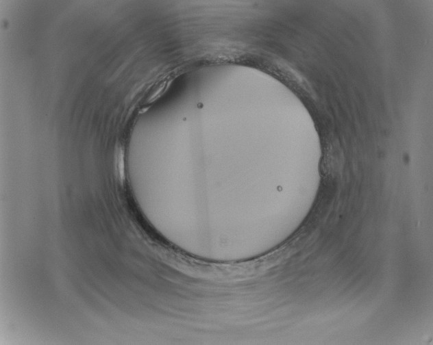 X0000075830027200610151531