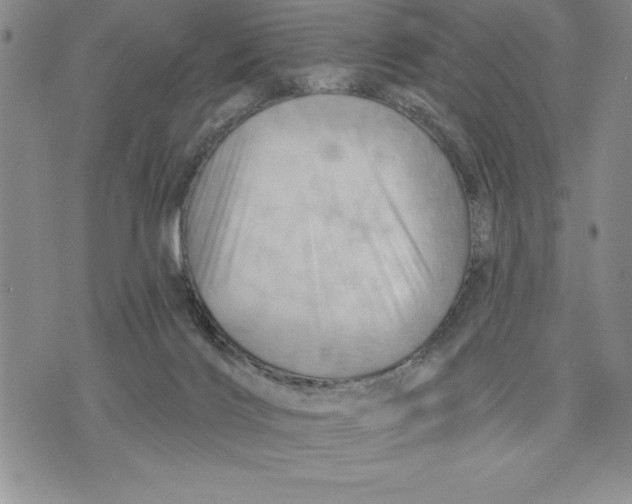 X0000075830028200610151531