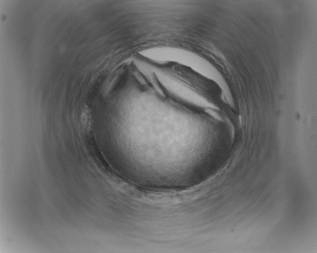 X0000075830029200610151531