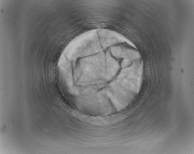 X0000075830030200610151531