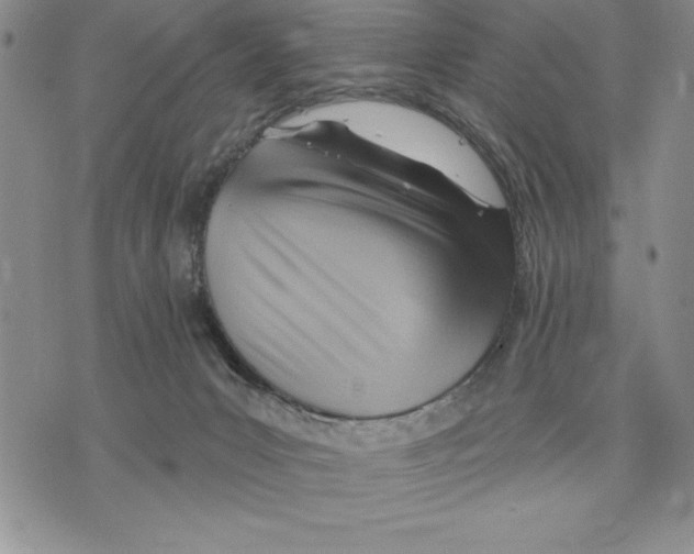 X0000075830031200610151531