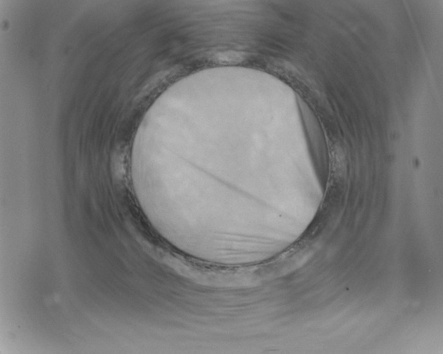 X0000075830032200610151531