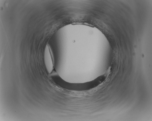 X0000075830033200610151531