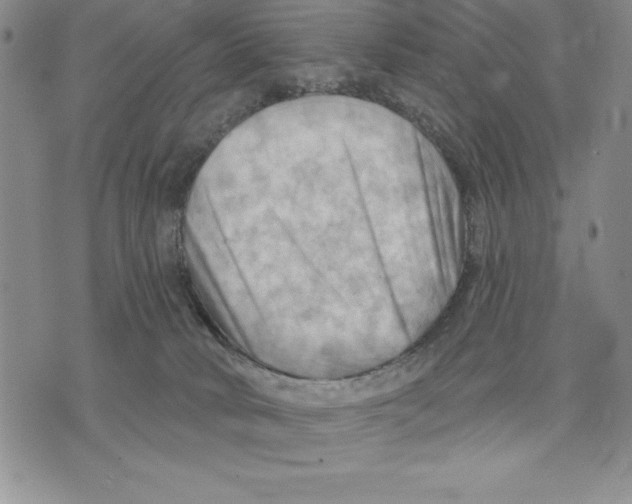 X0000075830034200610151531